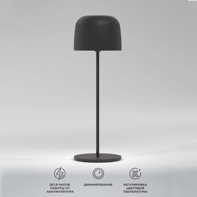 Светильник светодиодный настольный Bitty черный TL70260 Elektrostandard Светильник светодиодный настольный Bitty черный TL70260 Elektrostandard