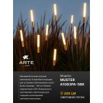 Грунтовый светильник Arte Lamp MUSTER A1083PA-5BK