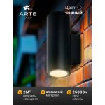 Фасадный светильник Arte Lamp TORCULAR A1307AL-2BK