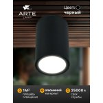 Уличный потолочный светильник Arte Lamp TORCULAR A1307PF-1BK