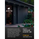 Уличный потолочный светильник Arte Lamp TORCULAR A1307PF-1BK