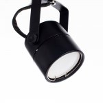 Светильник потолочный Arte lamp A1310PL-2BK LENTE