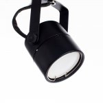 Светильник потолочный Arte Lamp A1310PL-6BK Lente