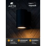 Фасадный светильник Arte Lamp TORCULAR A1313AL-1BK