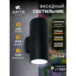 Фасадный светильник Arte Lamp TORCULAR A1313AL-2BK