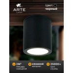 Уличный потолочный светильник Arte Lamp TORCULAR A1313PF-1BK