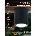 Уличный потолочный светильник Arte Lamp TORCULAR A1313PF-1BK