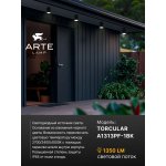 Уличный потолочный светильник Arte Lamp TORCULAR A1313PF-1BK