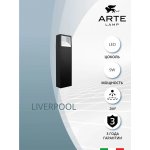 Уличный светильник Arte Lamp A1326PA-1BK LIVERPOOL