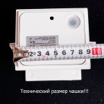 Светильник настенный Arte lamp A1415AL-1GY RULLO