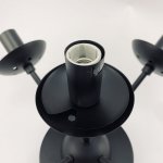 Люстра на штанге Arte lamp A1664SP-12BK BOLLA