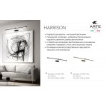 Светильник настенный Arte Lamp A1716AP-1AB HARRISON