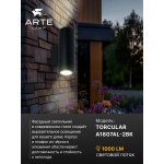 Уличный светильник Arte Lamp A1807AL-2BK TORCULAR