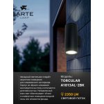 Уличный светильник Arte Lamp A1813AL-2BK TORCULAR