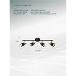 Светильник поворотный Arte Lamp A1906PL-4BK ALMACH
