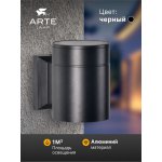 Уличный светильник Arte Lamp A1913AL-1BK PIAUTOS