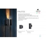 Уличный светильник Arte Lamp A1913AL-1BK PIAUTOS