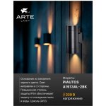 Уличный светильник Arte Lamp A1913AL-2BK PIAUTOS