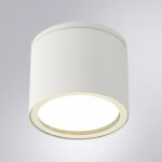 Уличные потолочные светильники Arte Lamp A1913PF-1WH PIAUTOS