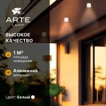 Уличные потолочные светильники Arte Lamp A1913PF-1WH PIAUTOS