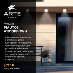 Уличные потолочные светильники Arte Lamp A1913PF-1WH PIAUTOS