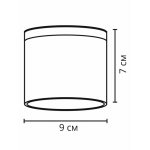 Уличные потолочные светильники Arte Lamp A1913PF-1WH PIAUTOS