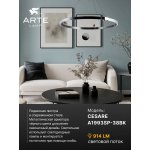 Подвесная люстра Arte Lamp A1993SP-38BK CESARE
