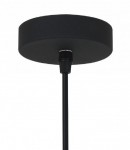 Светильник подвесной Arte lamp A2054SP-1BK Braccio