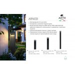Уличный светильник Arte Lamp A2148PA-1BK ARNEB