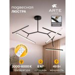 Светильник потолочный Arte Lamp A2170PL-49BK ZULU