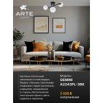 Настенный светильник бра Arte Lamp A2243PL-3BK GEMINI