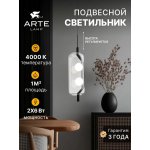 Светильник подвесной Arte Lamp A2341SP-2BK GENEVA