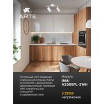 Светильник потолочный Arte Lamp A2365PL-2WH IMAI