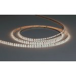 Светодиодная лента Arte Lamp A2412005-02-4K TAPE
