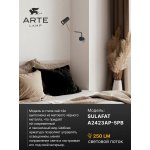Светильник настенный Arte Lamp A2423AP-5PB SULAFAT