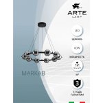 Светильник подвесной Arte Lamp A2471LM-20BK MARKAB