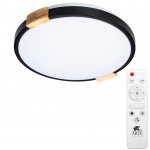 Светильник светодиодный 72Вт 510мм Arte Lamp A2683PL-72BK черный с деревом и пультом JERSEY