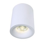 Светильник потолочный Arte lamp A3112PL-1WH UGELLO