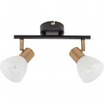 Светильник поворотный Arte lamp A3117PL-2BK FALENA