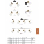 Светильник поворотный Arte lamp A3117PL-2BK FALENA