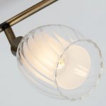 Плафон стекло двойное Е14 100*90мм Arte lamp A3184AP/PL BIHAM