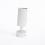 Светильник поворотный Arte Lamp A3216PL-1GY AQUARIUS