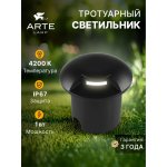 Уличный светильник Arte Lamp A3221IN-1BK PIAZZA