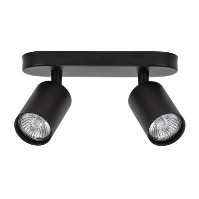 

Светильник потолочный Arte lamp A3226PL-2BK AQUARIUS, A3226PL-2BK