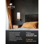 СВЕТИЛЬНИК НАСТЕННЫЙ Arte Lamp A3606AP-8BK LANTERNA