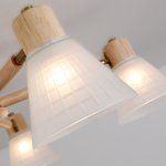 Светильник потолочный Arte Lamp A4096PL-5BR MELEPH