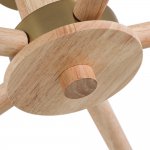 Светильник потолочный Arte Lamp A4096PL-5BR MELEPH