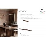 Светильник подвесной Arte Lamp A4286SP-19BK CONCA
