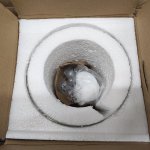 Светильник настенный бра Arte lamp A4289AP-1WH Passero