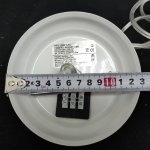 Светильник подвесной с птичкой Arte lamp A4289SP-1WH Passero